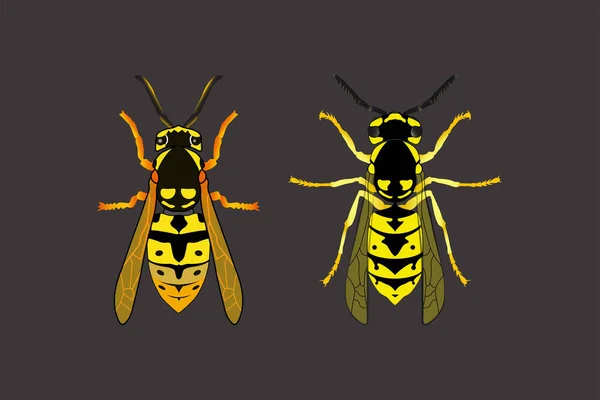 Geting Platt Ikon Insekter Vektor Däggdjur Illustration — Stock vektor