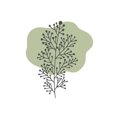 Arkaplanda soyut yeşil leke olan tek bir vektör bitkisel element. Tasarım için renkli karalama çizimi.