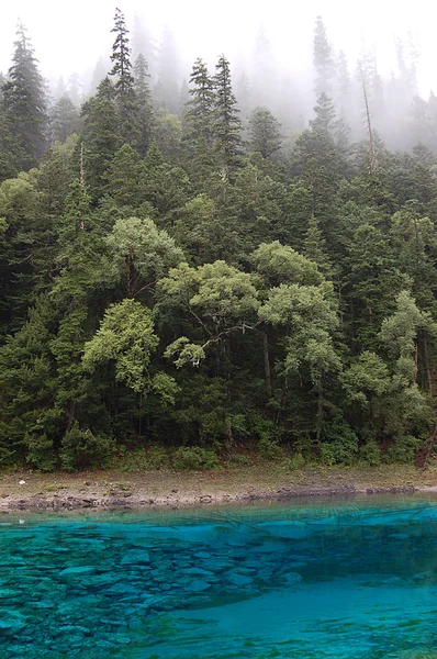 Parku Narodowego Jiuzhaigou — Zdjęcie stockowe