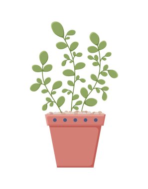 Yapraklar ve bitkilerle botanik çizimi. Renkli çiçek vektörü düz ikonu olan güzel bir vazo. Vazodaki renkli çiçek beyaz arkaplanda izole edilmiş düz bir ikon. Vektör illüstrasyonu 10