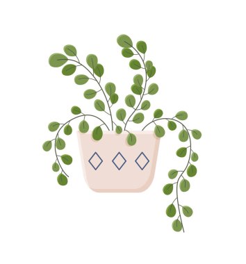 Yapraklar ve bitkilerle botanik çizimi. Renkli çiçek vektörü düz ikonu olan güzel bir vazo. Vazodaki renkli çiçek beyaz arkaplanda izole edilmiş düz bir ikon. Vektör illüstrasyonu 10