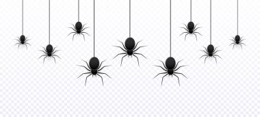 Dekorasyon için örümcekleri asan ve şeffaf arkaplan üzerine örten gerçekçi, pürüzsüz bir desen. Cadılar Bayramı için ürkütücü bir geçmiş.