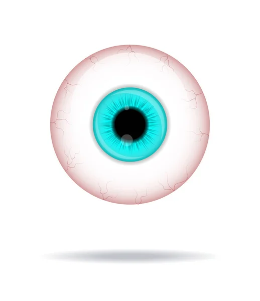 Ojo Humano Realista Ojo Con Iris Azul Foto Realista Vector — Archivo Imágenes Vectoriales