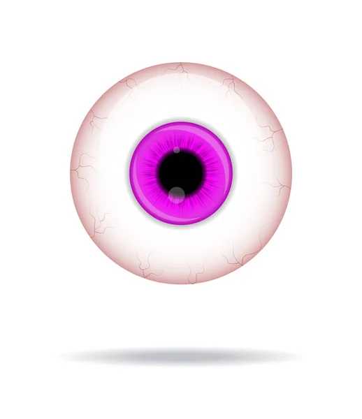 Globul Ocular Uman Realist Eyeball Irisuri Violet Fotografie Ilustrație Vectorială — Vector de stoc