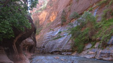 Amerika 'nın Güneybatısında Güzel Manzara