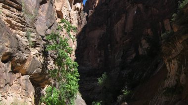 Amerika 'nın Güneybatısında Güzel Manzara