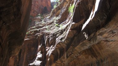 Amerika 'nın Güneybatısında Güzel Manzara