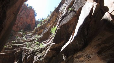 Amerika 'nın Güneybatısında Güzel Manzara