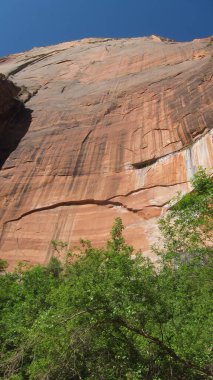 Amerika 'nın Güneybatısında Güzel Manzara