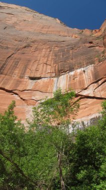 Amerika 'nın Güneybatısında Güzel Manzara