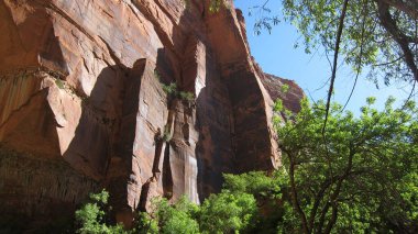 Amerika 'nın Güneybatısında Güzel Manzara