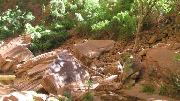 Beau Paysage Dans Sud Ouest Américain — Photo