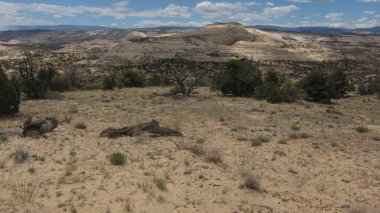 Amerika 'nın Güneybatısında Güzel Manzara