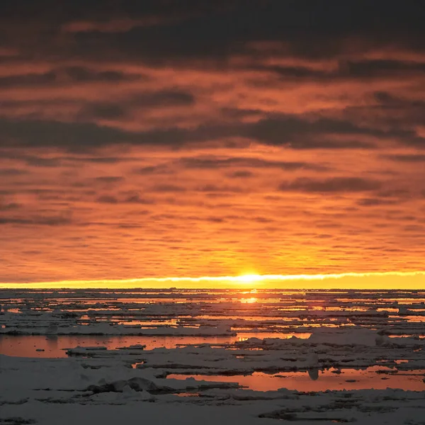 Zonsondergang Bij Antarctische Kust Ijsbergen Ijs Een Koud Water — Stockfoto