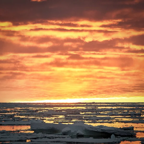 Zonsondergang Bij Antarctische Kust Ijsbergen Ijs Een Koud Water — Stockfoto