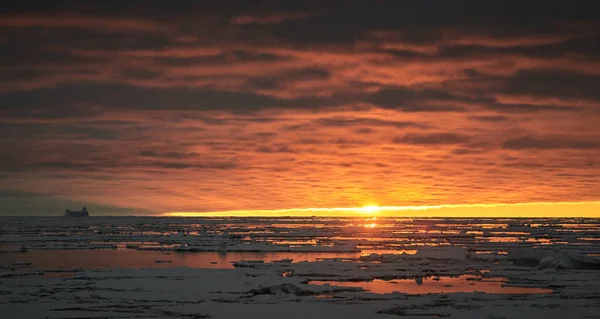 Sonnenuntergang Vor Der Antarktischen Küste Eisberge Und Eis Auf Kaltem — Stockfoto