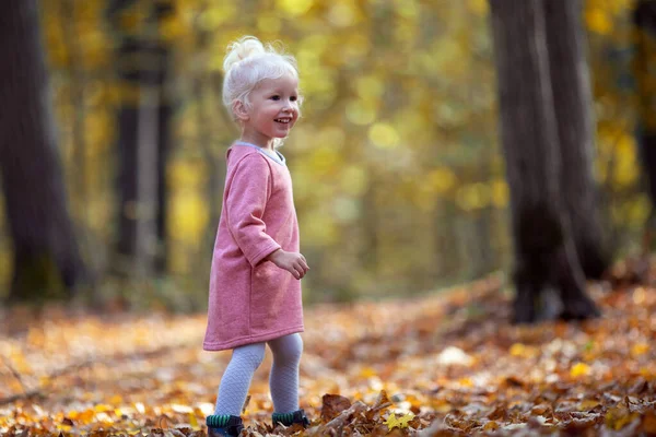 Petite Jolie Fille Aux Cheveux Blonds Promenant Dans Forêt Journée — Photo