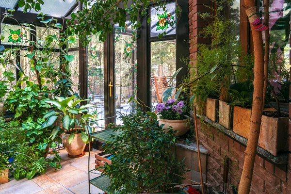 Interior del jardín de invierno con varias plantas caseras, puerta de cristal y ventanas. — Foto de Stock