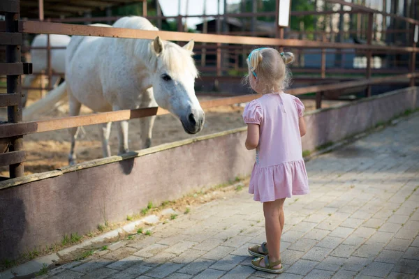 Little blonde girl and white horse watching each other in the farm —  Fotos de Stock