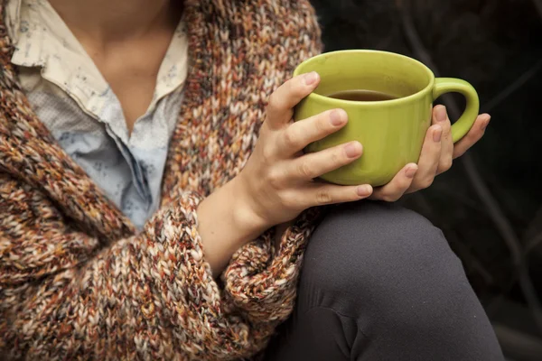 Taza de té —  Fotos de Stock