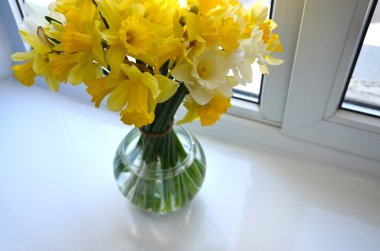 Parlak nergis yukarıdan pencere görünümü üzerinde durmak