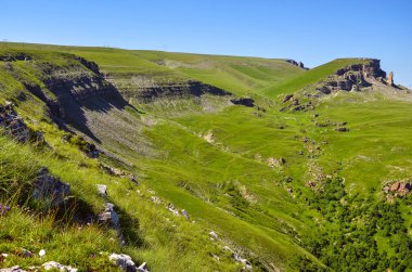 Caucasus Yaylası kayalık tarafında