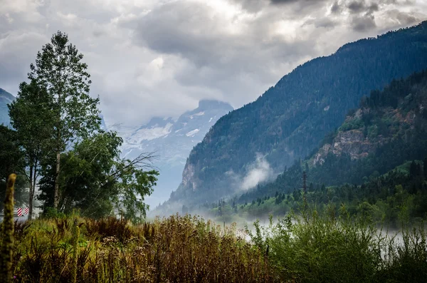 Niebla paisaje otoñal en las montañas — Foto de Stock