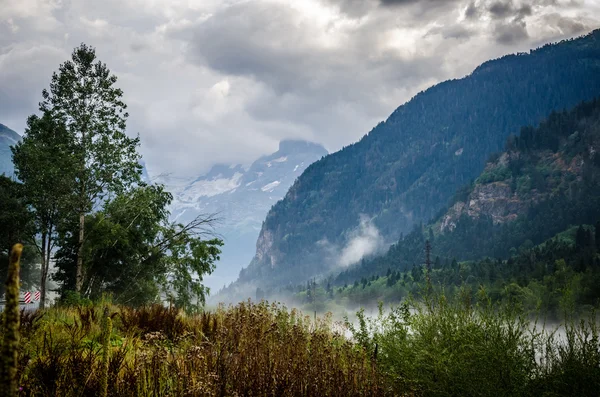 Paesaggio autunnale appannato in montagna — Foto Stock