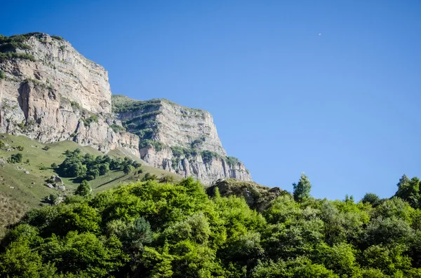 Vallende stenen in de gorge en de rand van de bomen — Stockfoto