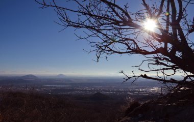 Bir arka plan üzerinde ağaç dalları dağ güneş patlaması