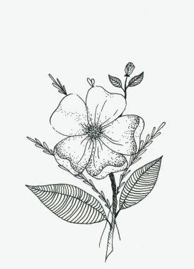 Siyah-beyaz kalem çiçeği çizimi