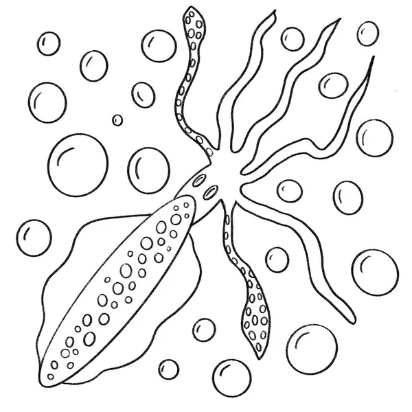 Squid εκτύπωσης φόντο γαστρονομία νερό ζώα φυσαλίδες — Φωτογραφία Αρχείου