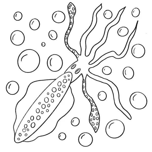 Tintenfisch Druck Hintergrund Gastronomie Wasser Tiere Blasen — Stockfoto