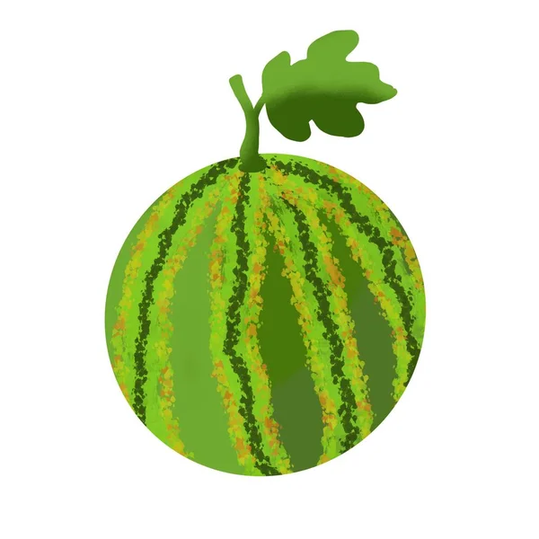 Vattenmelon vacker illustration med gröna blad — Stockfoto