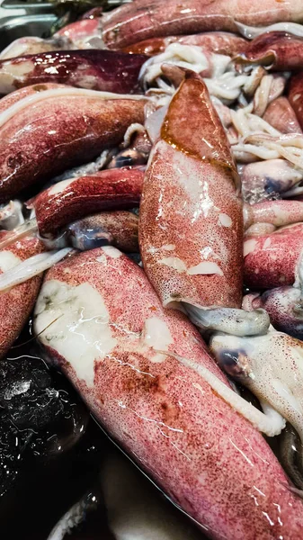Fresh Red Squid Market — Stock Photo, Image