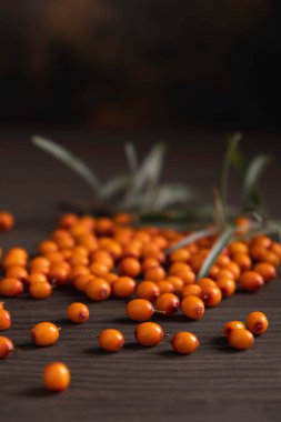 Masada deniz dikenli böğürtlen