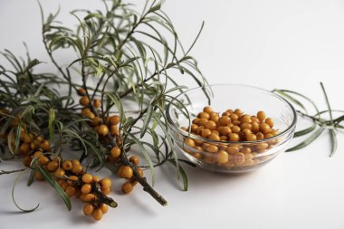 Hafif bir arka planda deniz dikenli meyvesi