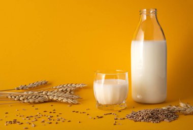 Buğdaydan sebze sütü 