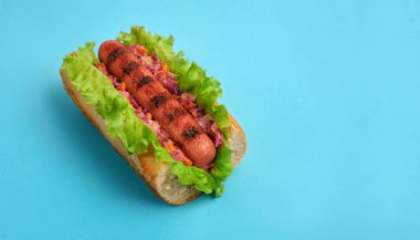  hot dog bun with grilled sausage fast food