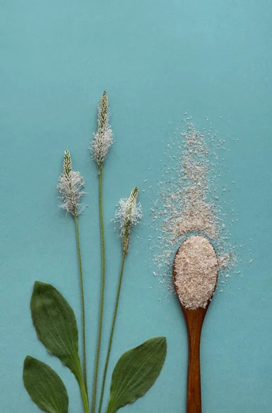 Psyllium plant product is the husk of plantain seeds on a blue background