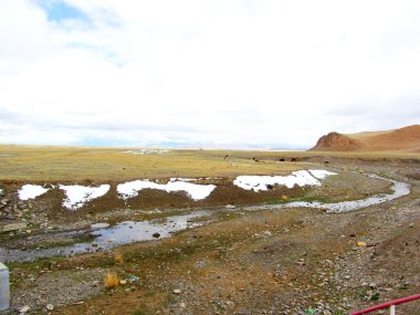 Altay