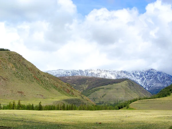 Алтай — стоковое фото