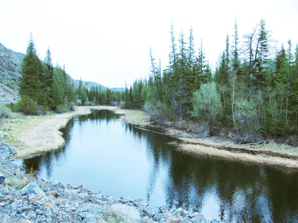 Altai... — Fotografia de Stock