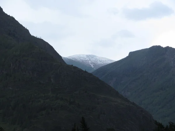 Altay — Stok fotoğraf