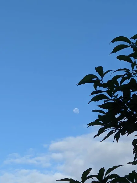 Sebuah Bulan Yang Indah Balik Awan — Stok Foto