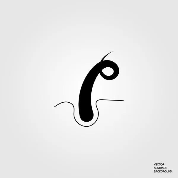 Saç kökü. Saç büyüme. Saç tedavisi. Saç siluet. Saç kökü. Kıvırcık saç