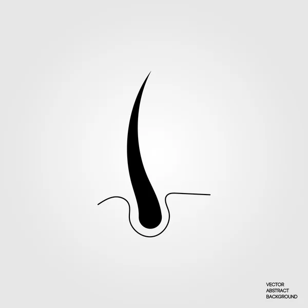 Saç kökü. Saç büyüme. Saç tedavisi. Saç siluet. Kıl kökü