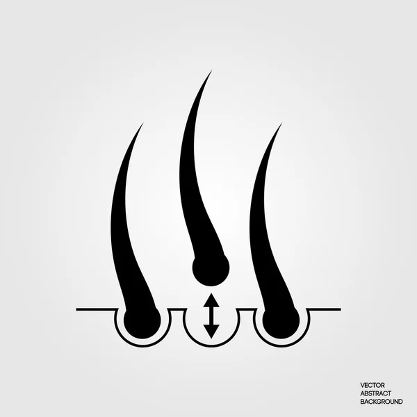 Saç ekimi. Saç kökü. Saç büyüme. Saç tedavisi. Saç siluet. Kıl kökü. 