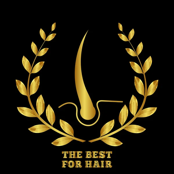 Saç implantasyonu. Saç tıbbi. Saç Bakımı. Saç ekimi. Saç folikülü