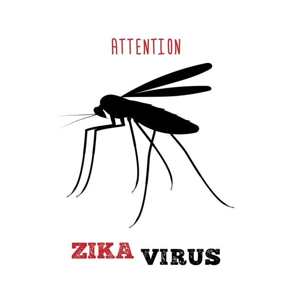 Zika virus.  Attention zika. Mosquito icon. Insect vector. — Stock Vector